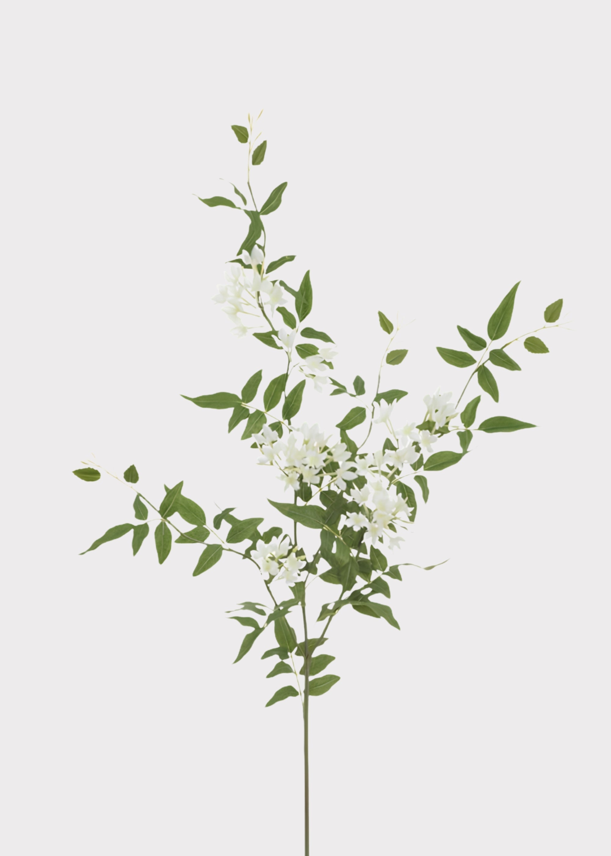 Tropical Fake Stephanotis Blooming Flower Branch in White - 43"
