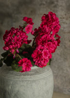 Artificial Geranium Flower Bush in Dark Pink - 19.5"