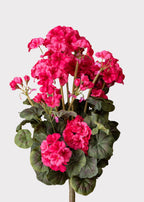 Artificial Geranium Flower Bush in Dark Pink - 19.5"