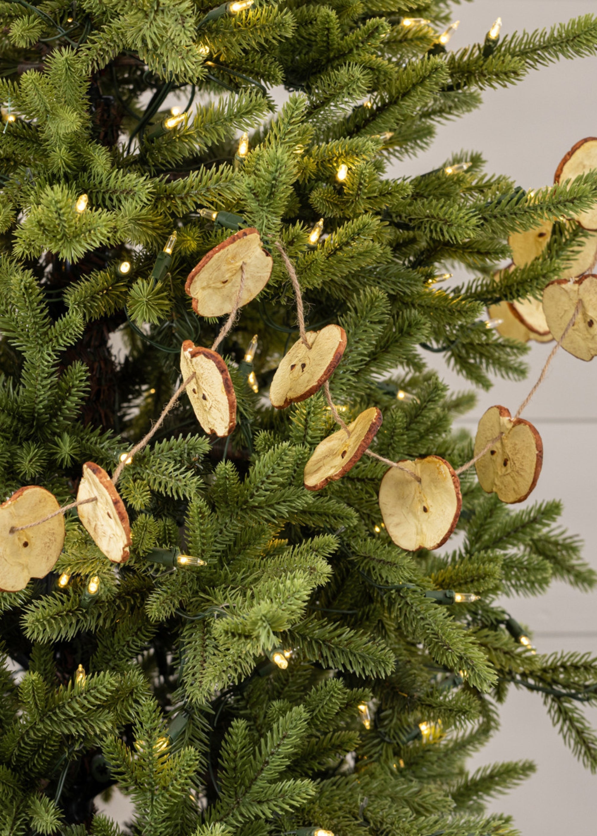 Artificial Holiday Fruit Red Apple Slice Garland - 60"