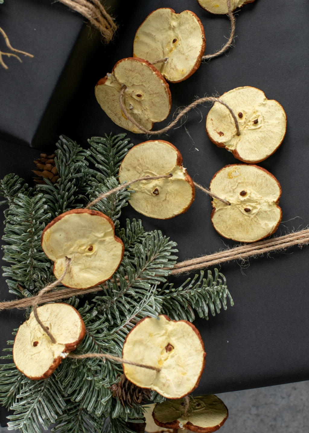 Artificial Holiday Fruit Red Apple Slice Garland - 60"