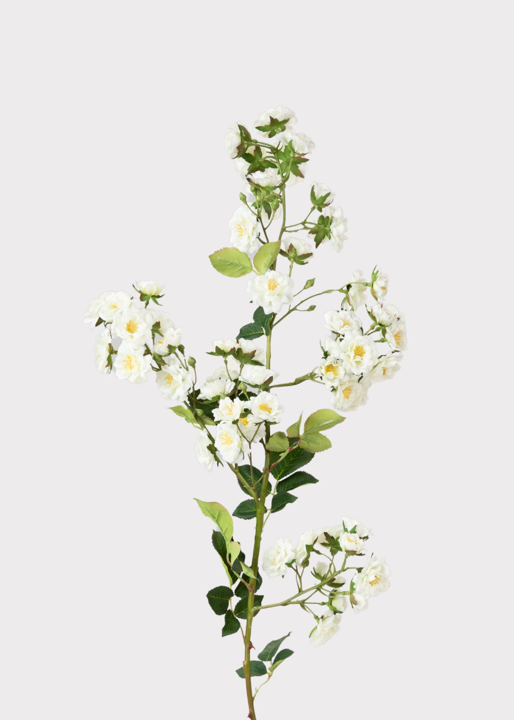 Climbing Fake Roses Branch in Cream White - 33"
