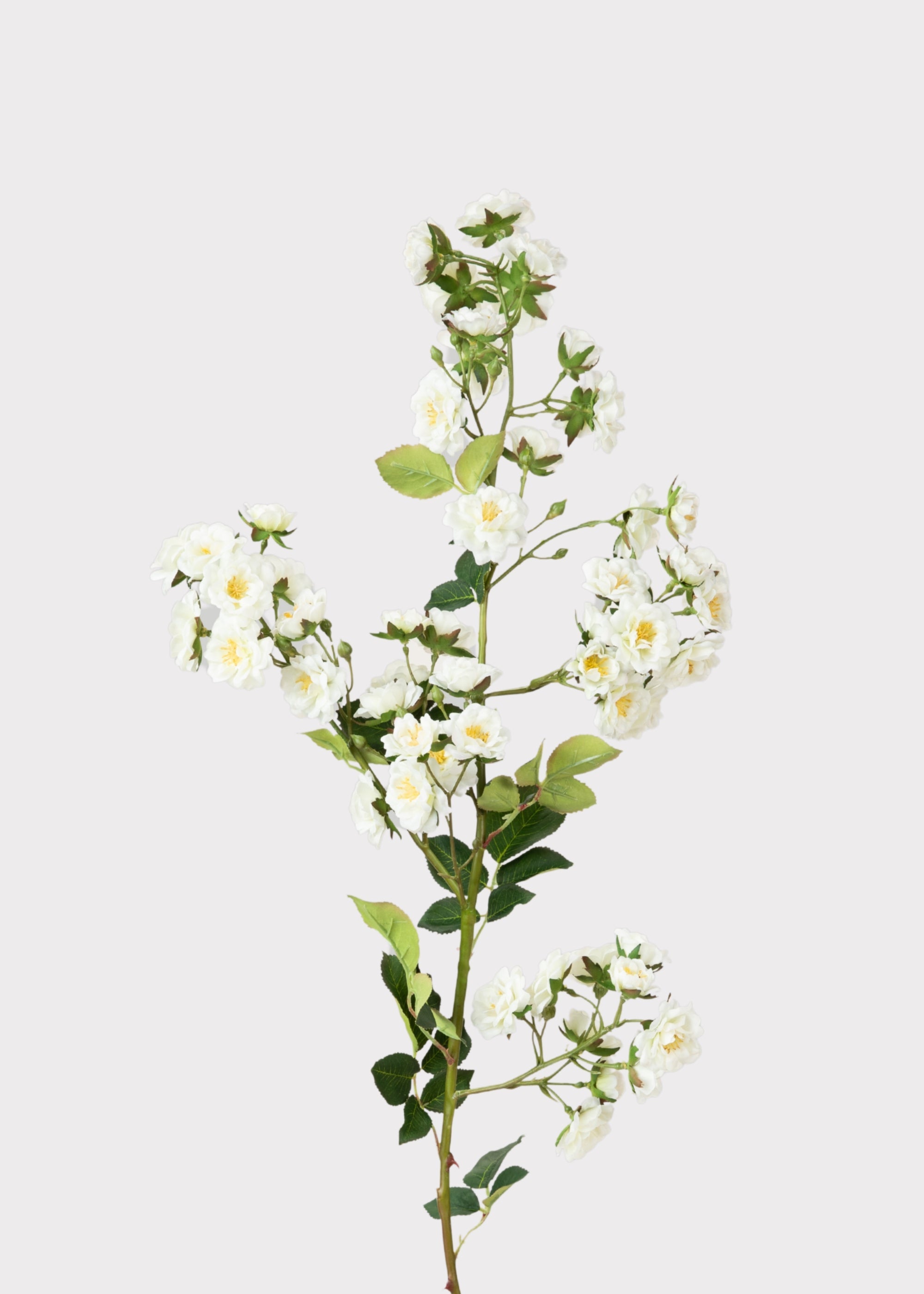 Climbing Fake Roses Branch in Cream White - 33"