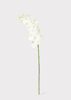 White Cream Artificial Phalaenopsis Orchids - 39"