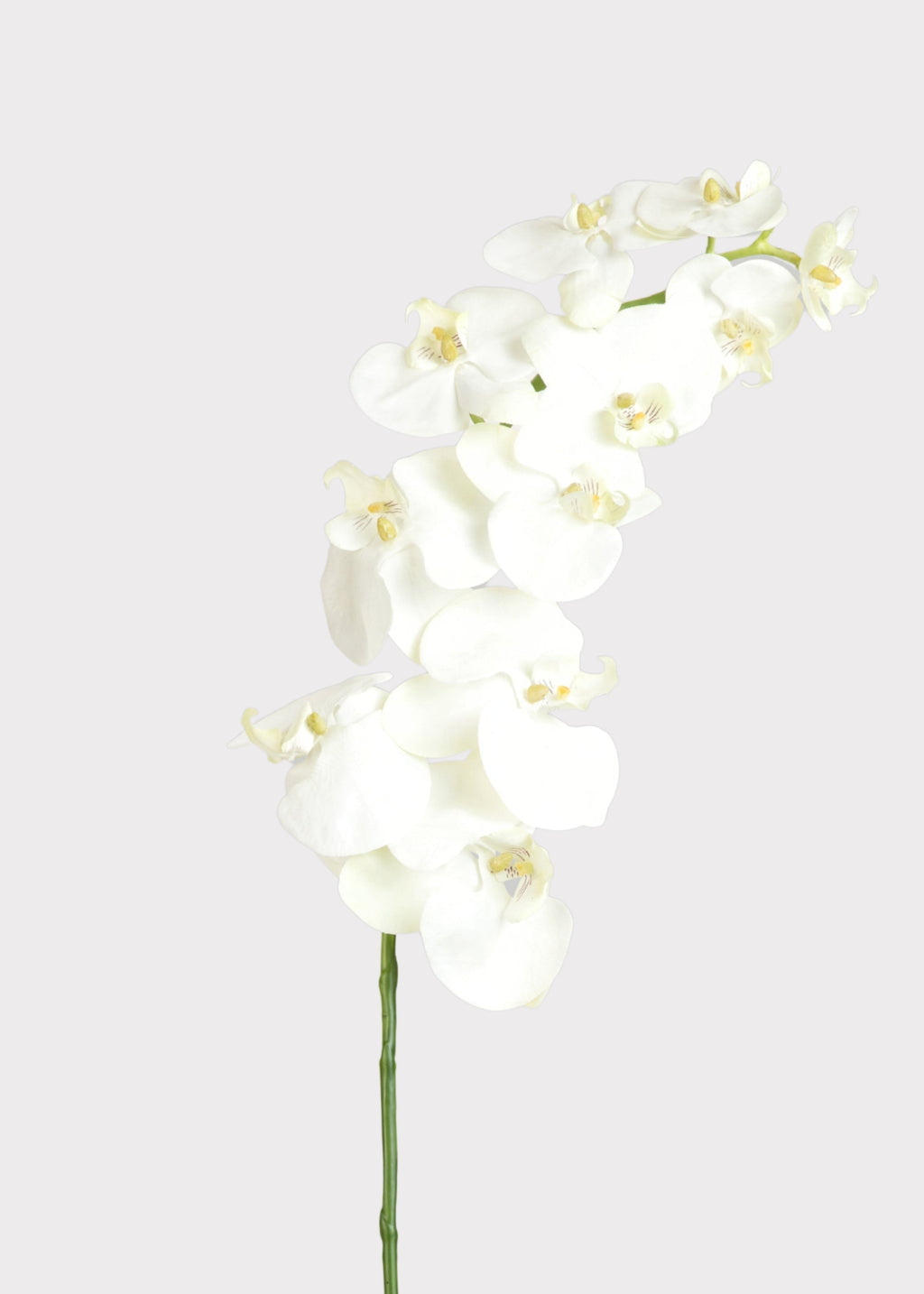 White Cream Artificial Phalaenopsis Orchids - 39"
