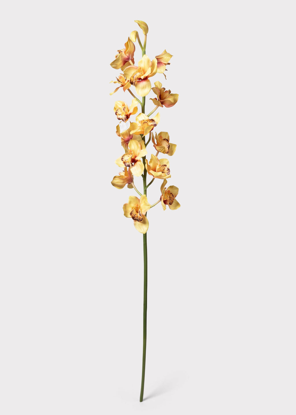 Large Soft Yellow Artificial Cymbidium Orchids - 50"