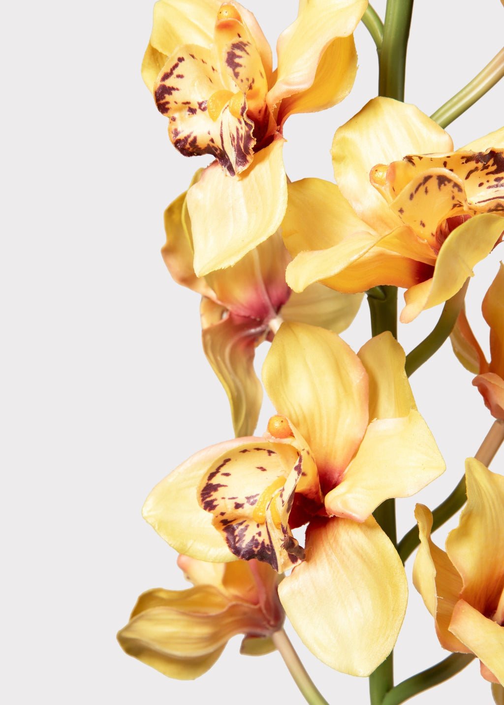 Large Soft Yellow Artificial Cymbidium Orchids - 50"
