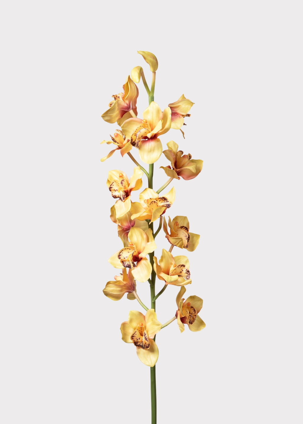 Large Soft Yellow Artificial Cymbidium Orchids - 50"