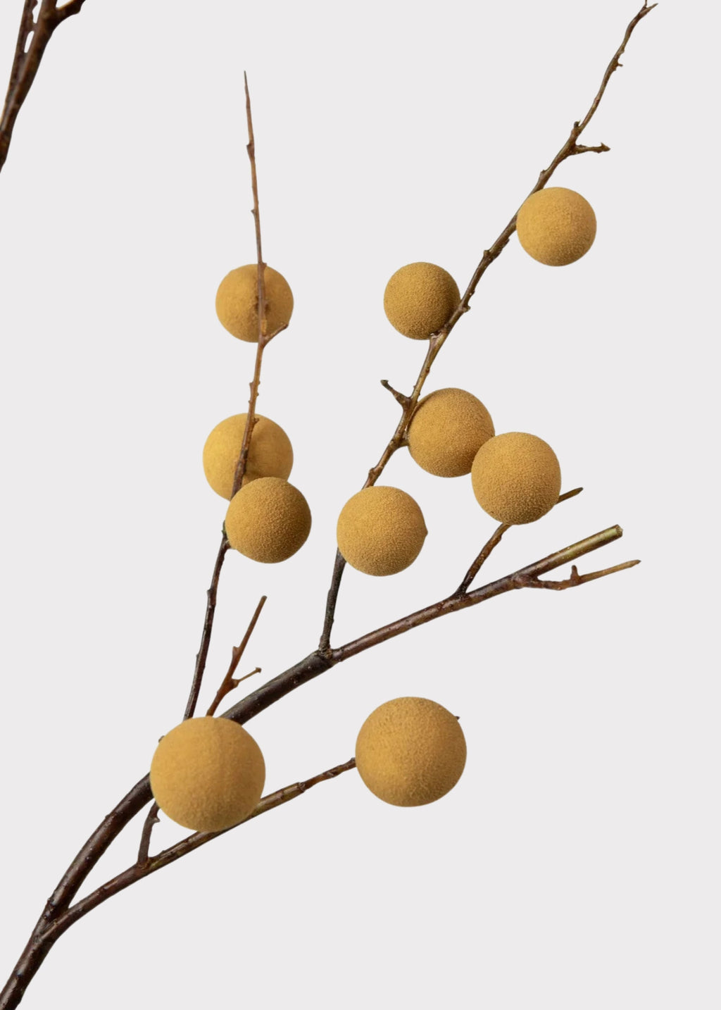 Artificial Longan Branch - 39"