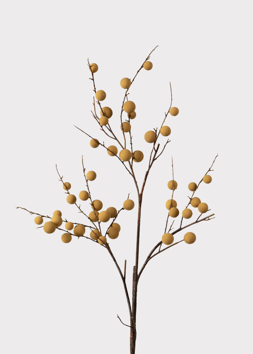 Artificial Longan Branch - 39"