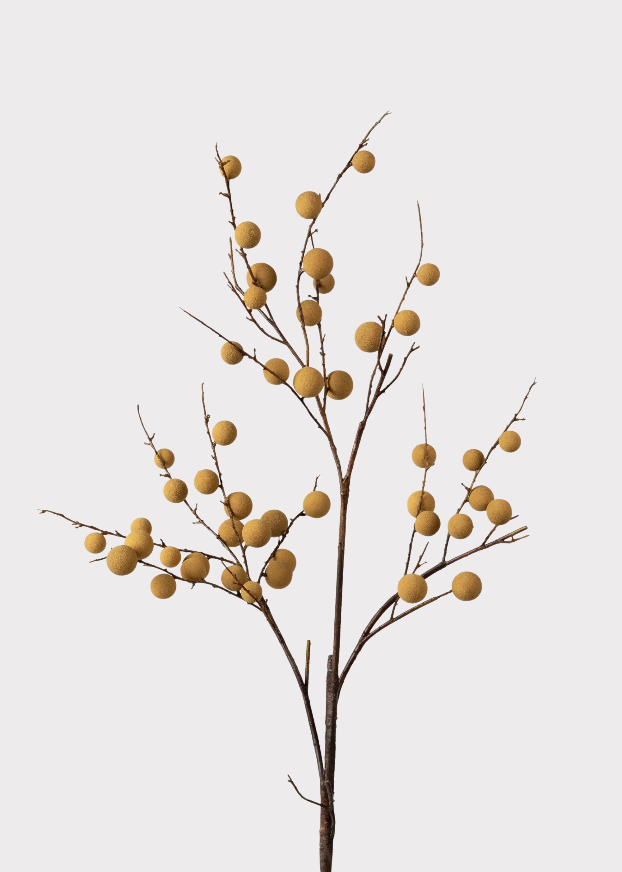 Artificial Longan Branch - 39"