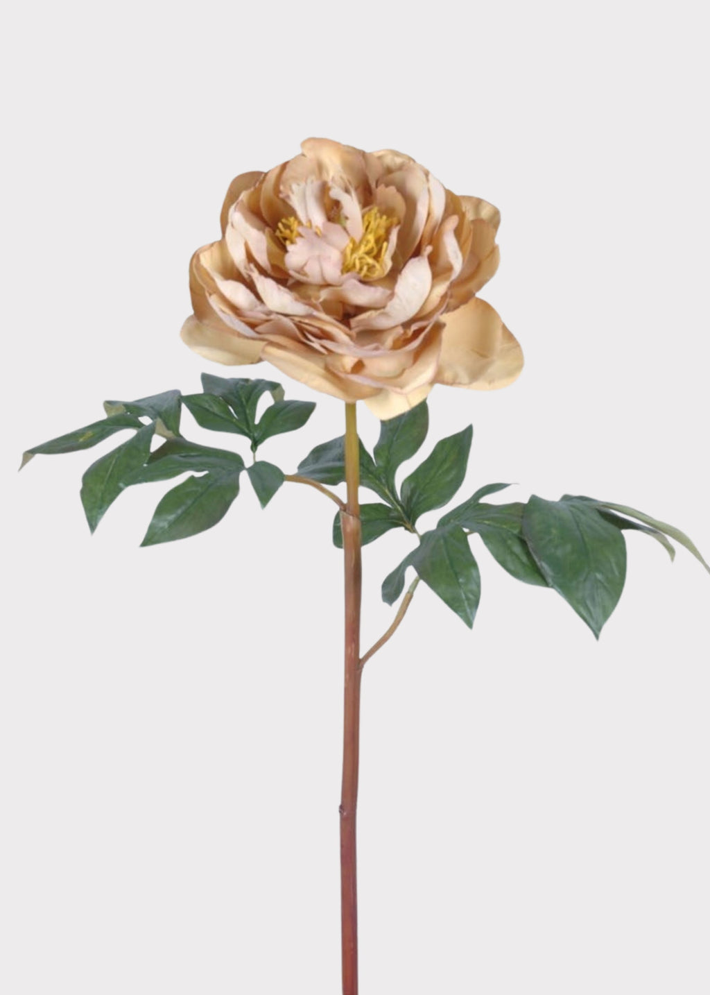 Faux Peony in Fawn - 24"