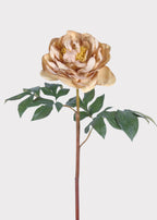 Faux Peony in Fawn - 24"