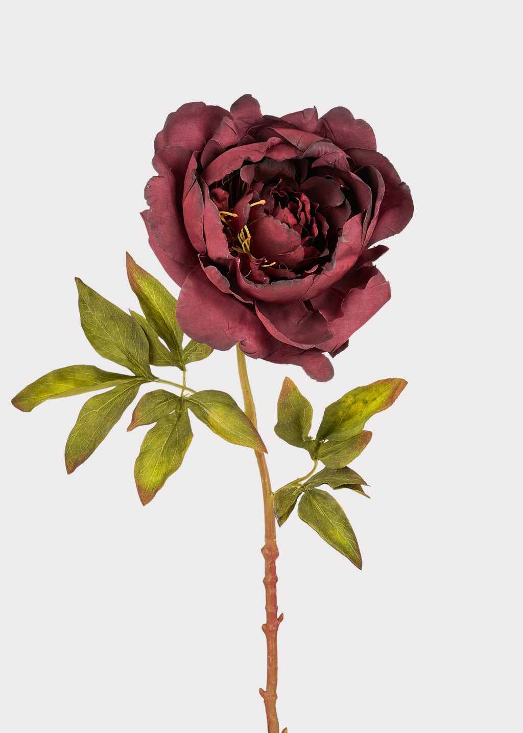 Smokey Plum Purple Fake Peony Flower - 24"