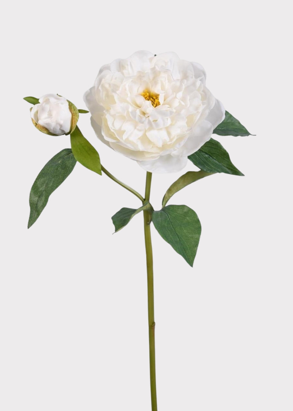Natural Touch Peony Fake Flower in White - 35.5"