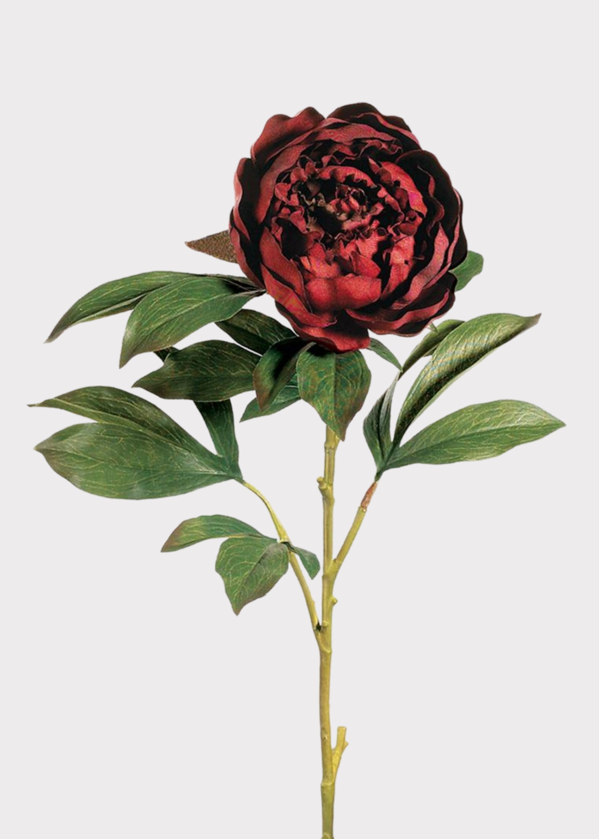 Fake Peony Flower in Burgundy - 30"