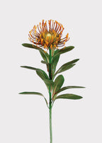 Rust Orange Artificial Pincushion Protea Tropical Flower - 28"