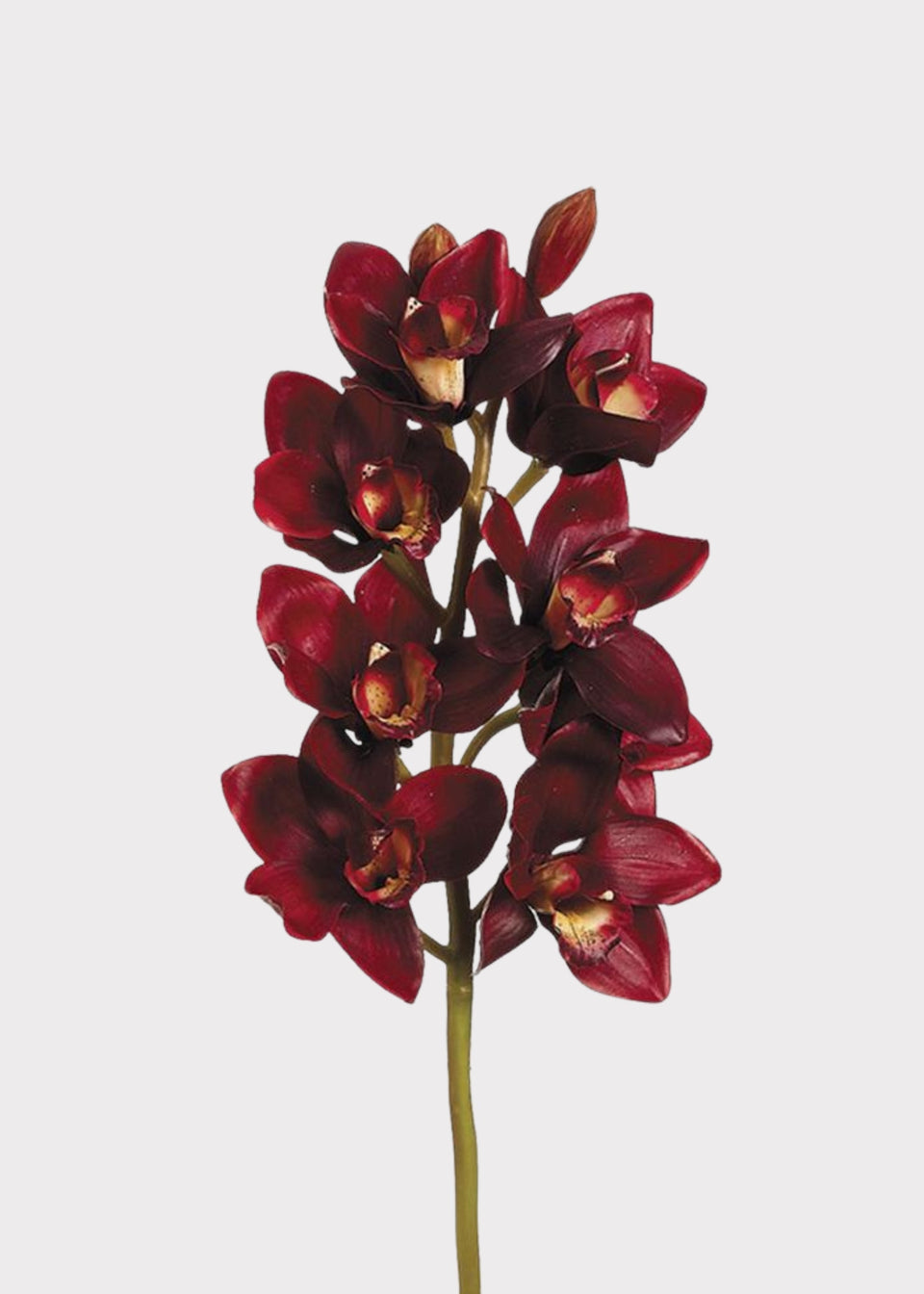 Burgundy Red Fake Cymbidium Orchid Flowers - 27"