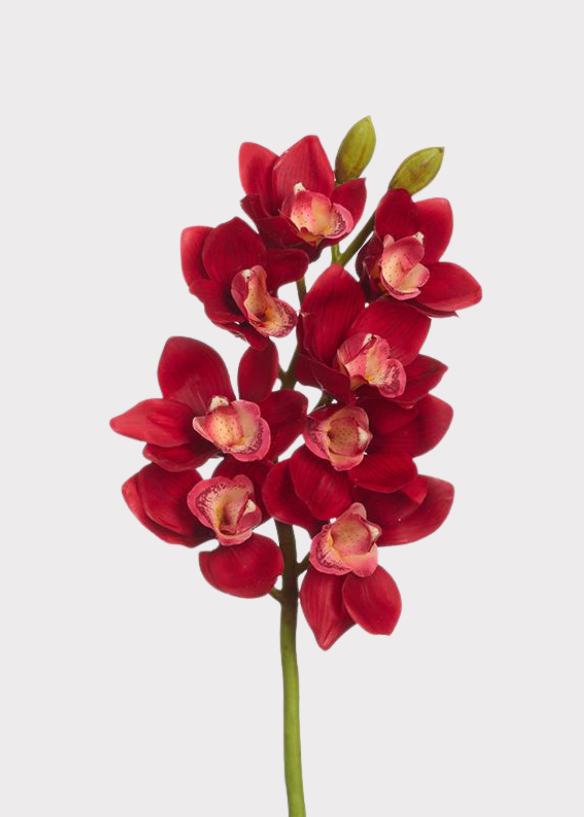 Fake Cymbidium Orchid Flowers in Red - 27"