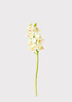 Cream and Burgundy Artificial Cymbidium Orchids - 28.5"