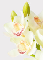Cream and Burgundy Artificial Cymbidium Orchids - 28.5"