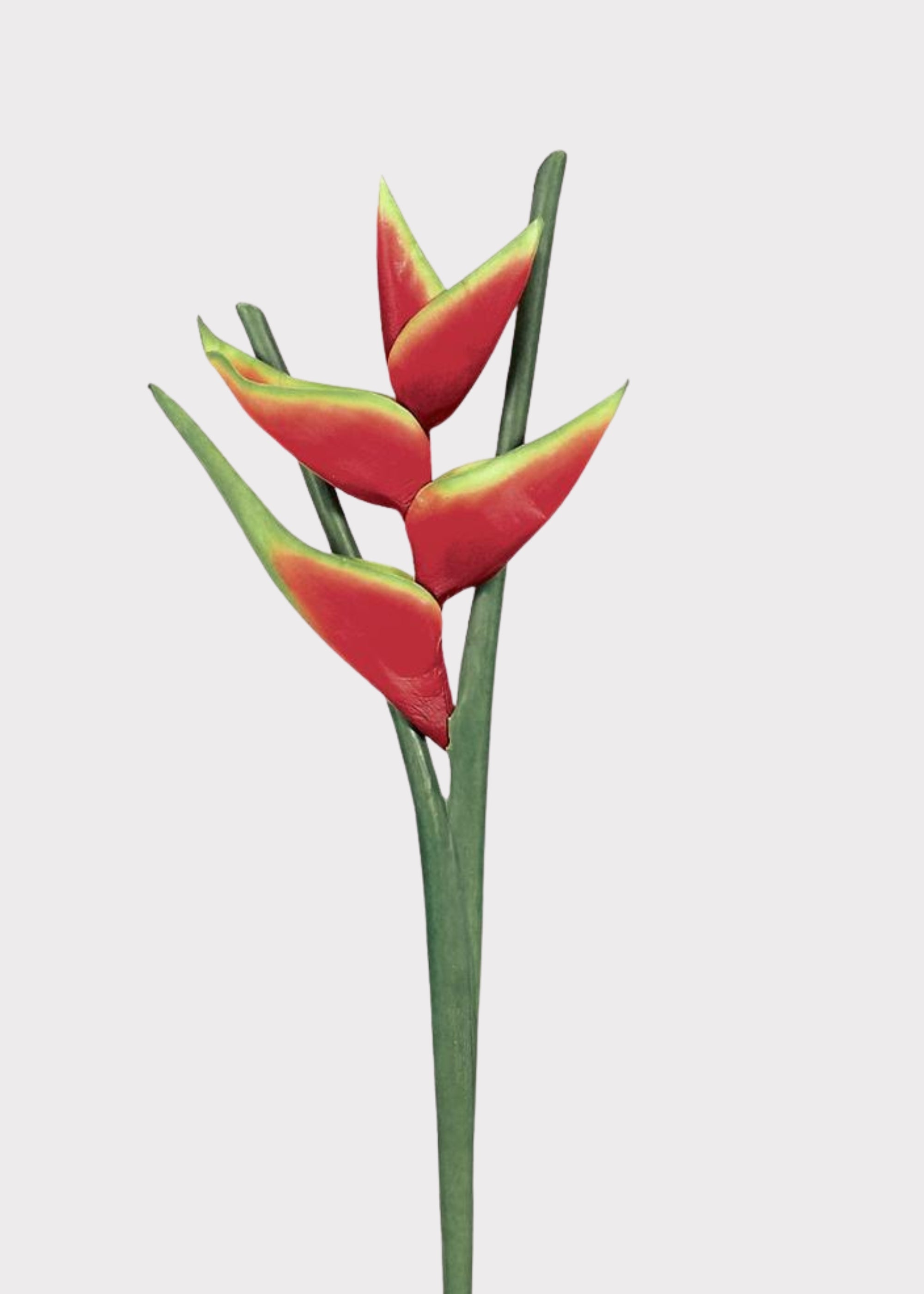 Fake Red Hawaiian Heliconia Tropical Flower - 34"