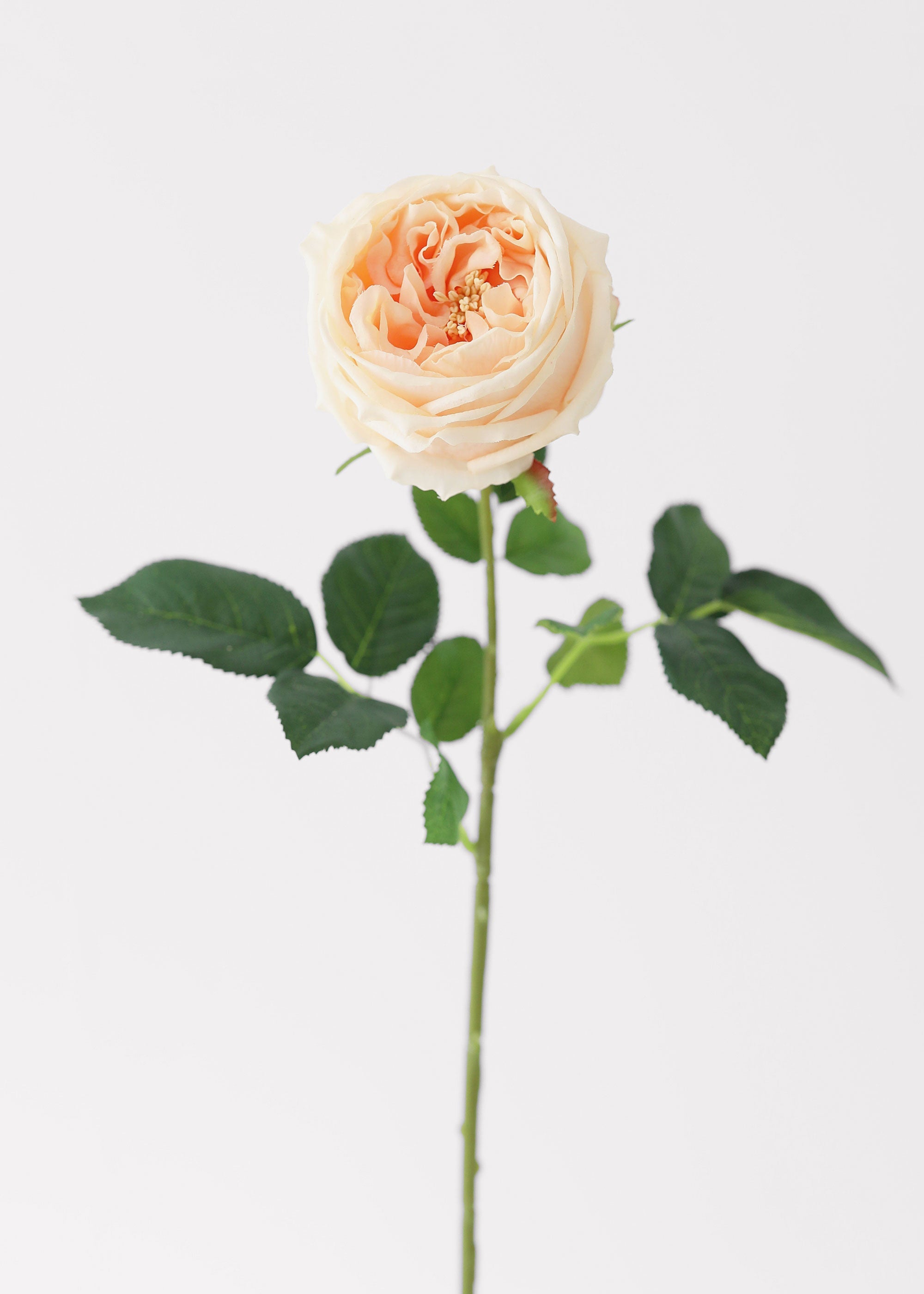 Peach Real Touch Rose Artificial Flower - 24"