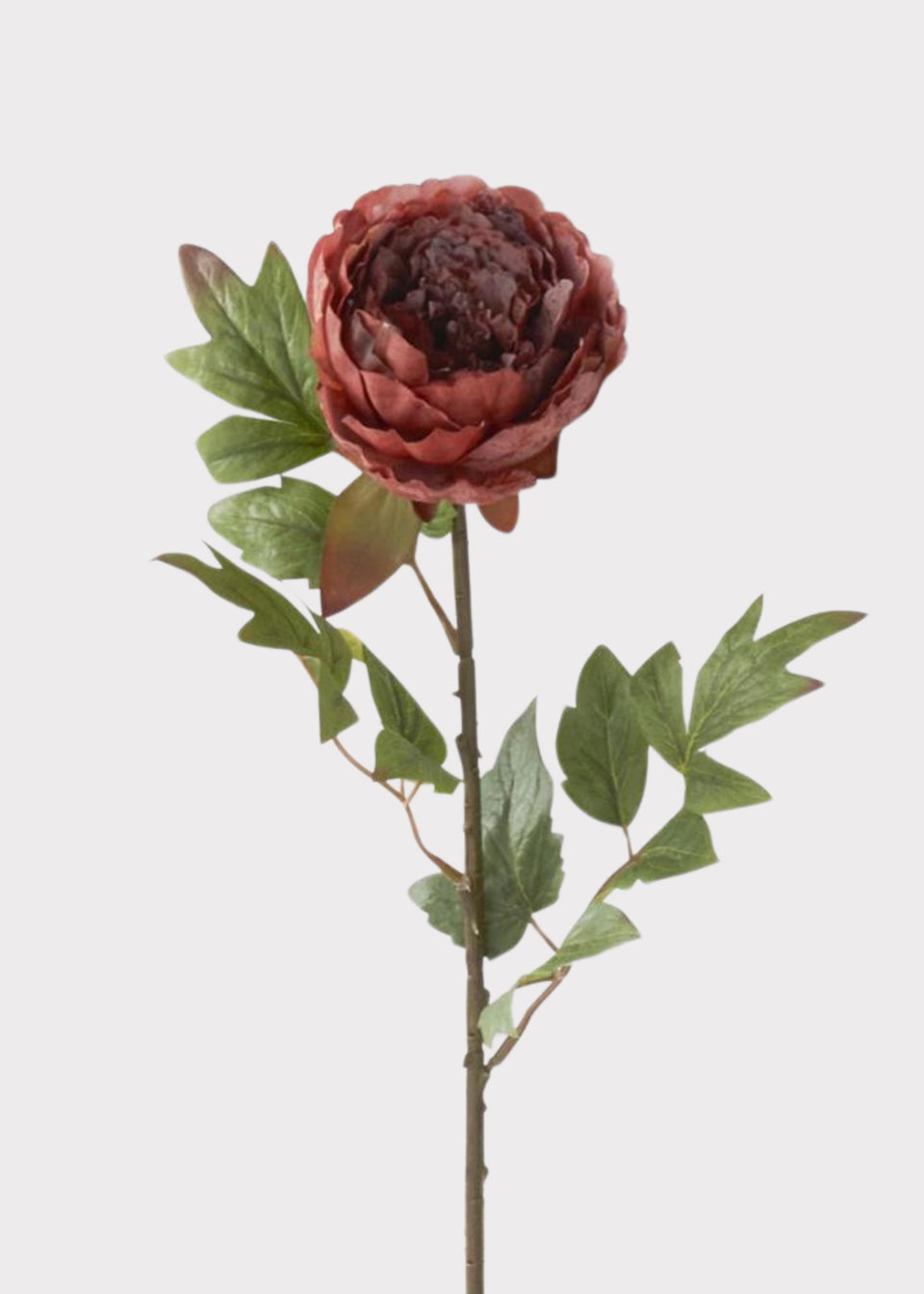Rust Burgundy Peony Real Touch Fake Flower - 22"