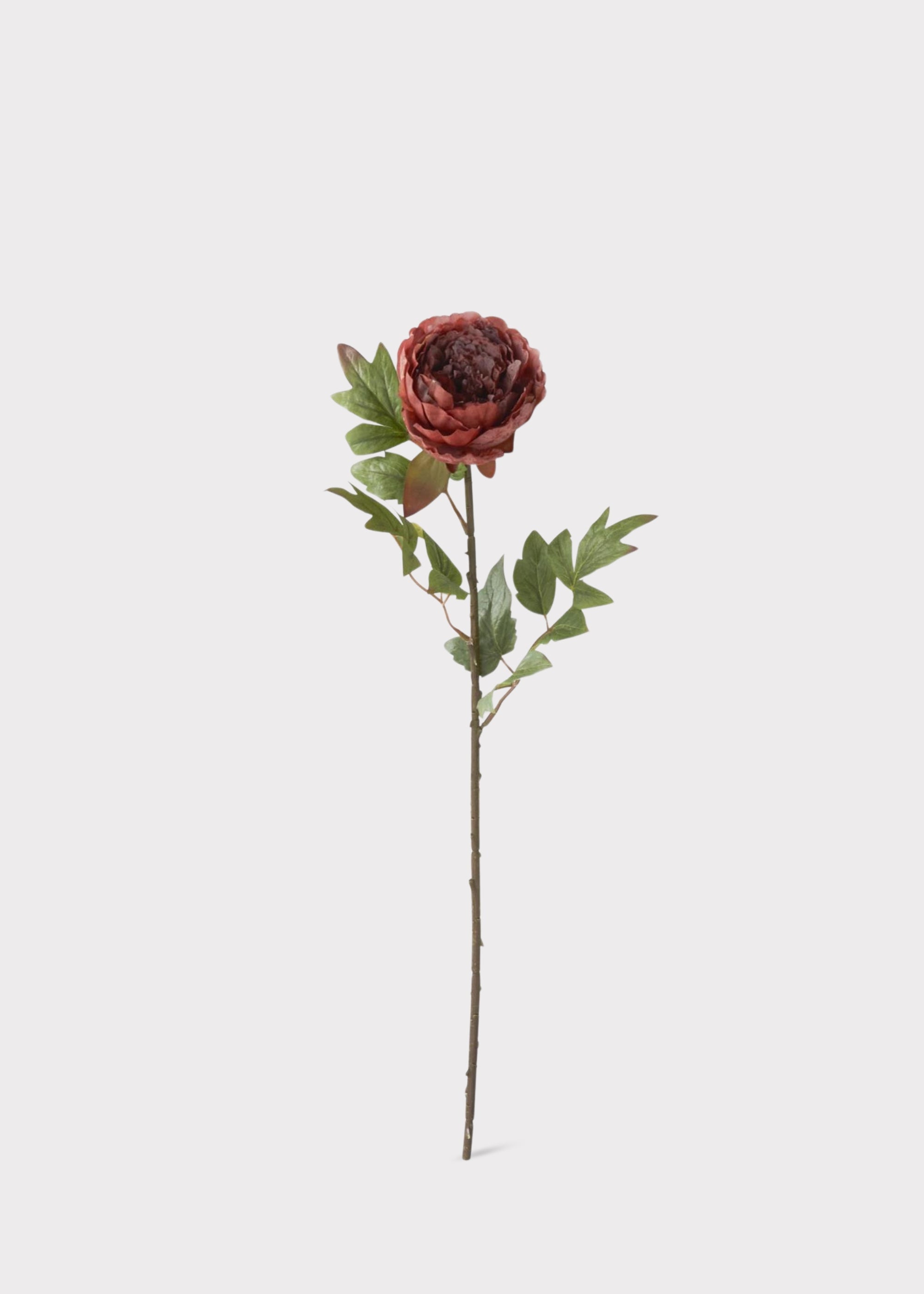 Rust Burgundy Peony Real Touch Fake Flower - 22"