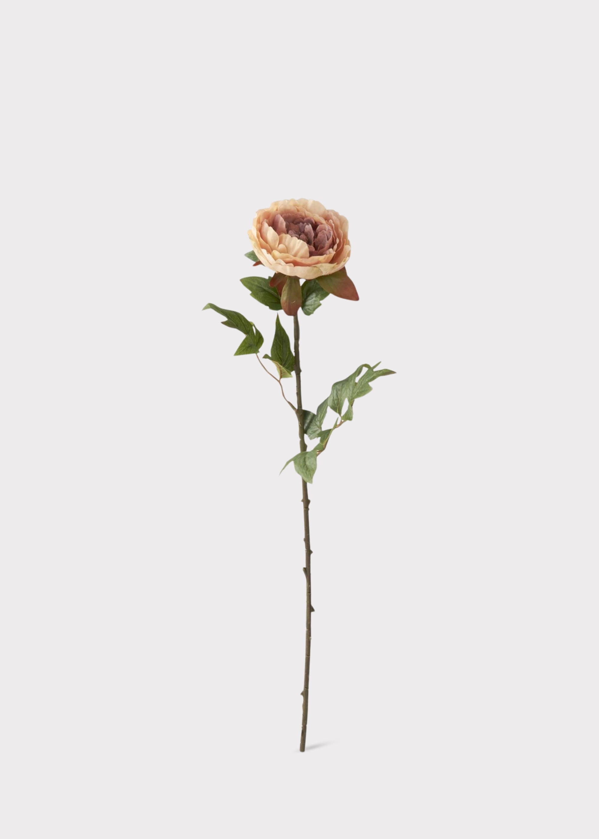 Real Touch Peony Fake Flower in Mauve and Beige Cream - 22"