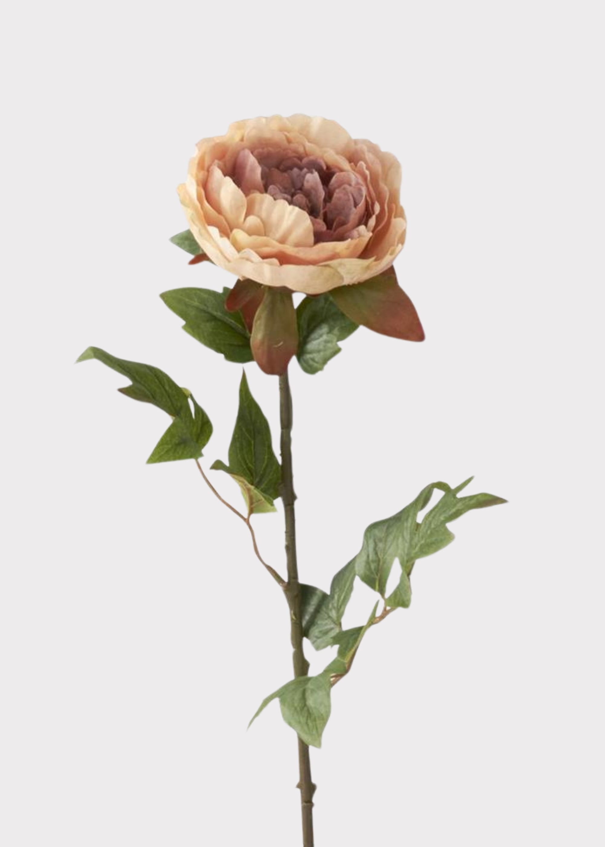 Real Touch Peony Fake Flower in Mauve and Beige Cream - 22"