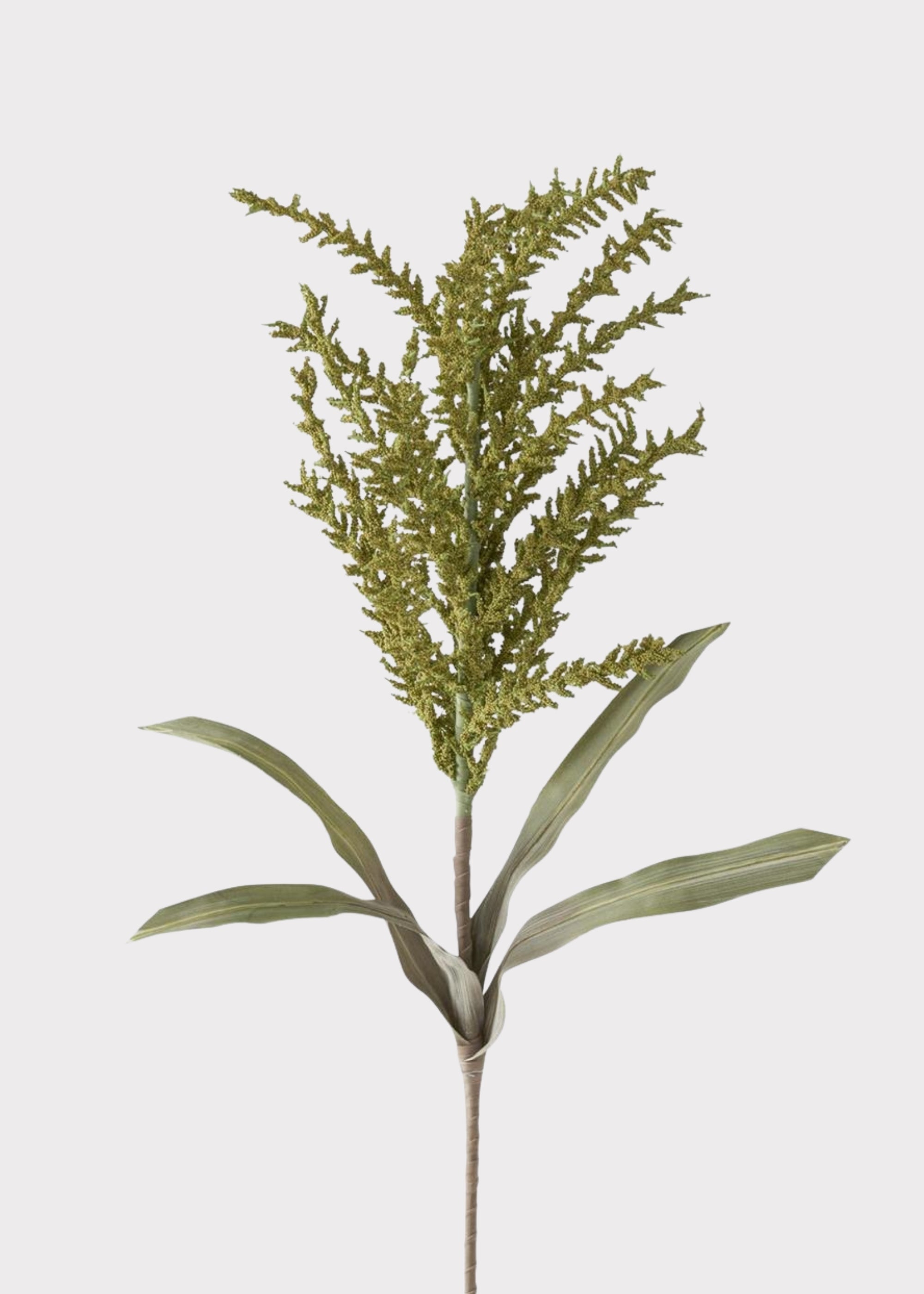 Tall Seed Berry Stem in Green - 40"