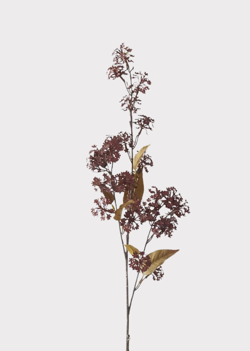 Artificial Elderberry Branch in Fall Burgundy - 35"