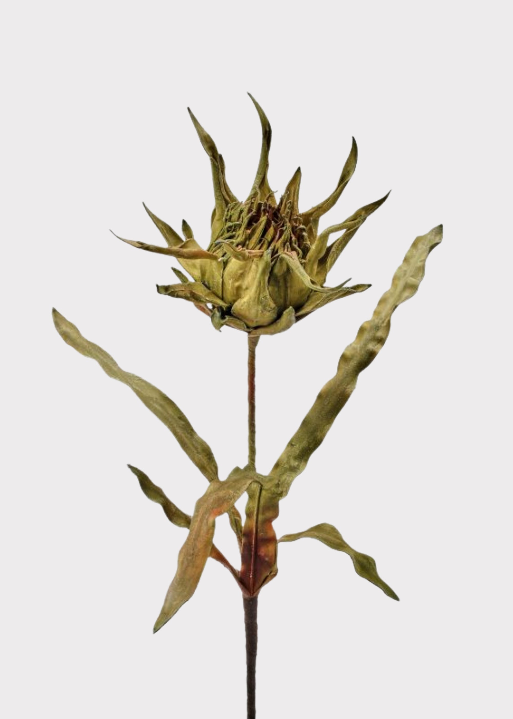 Large Fake Artichoke Protea Tropical Flower in Green - 40"