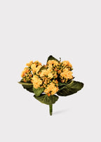 Small Fake Kalanchoe Blooming Plant in Yellow - 9"