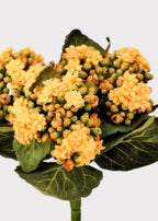 Small Fake Kalanchoe Blooming Plant in Yellow - 9"