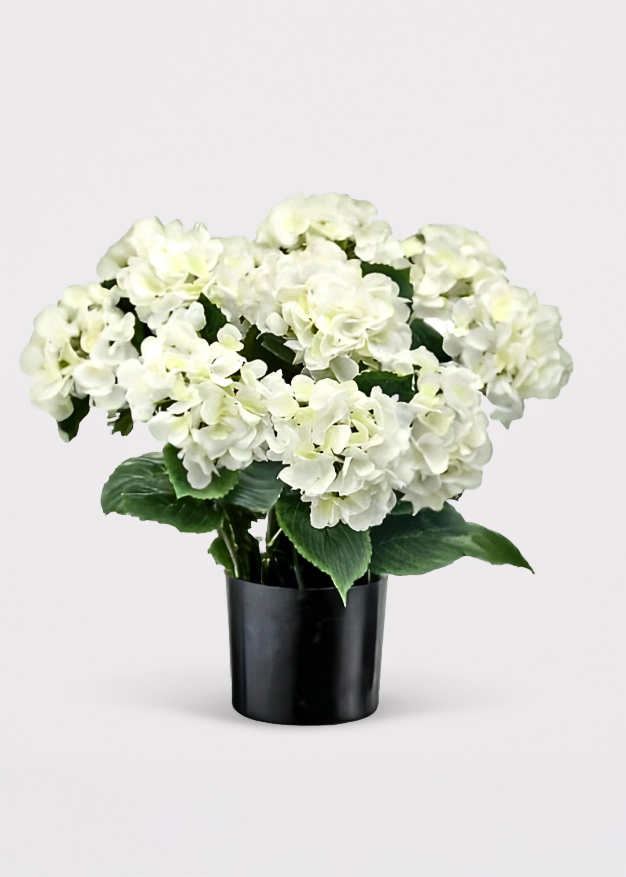 Potted Fake Hydrangea in White Green - 22"