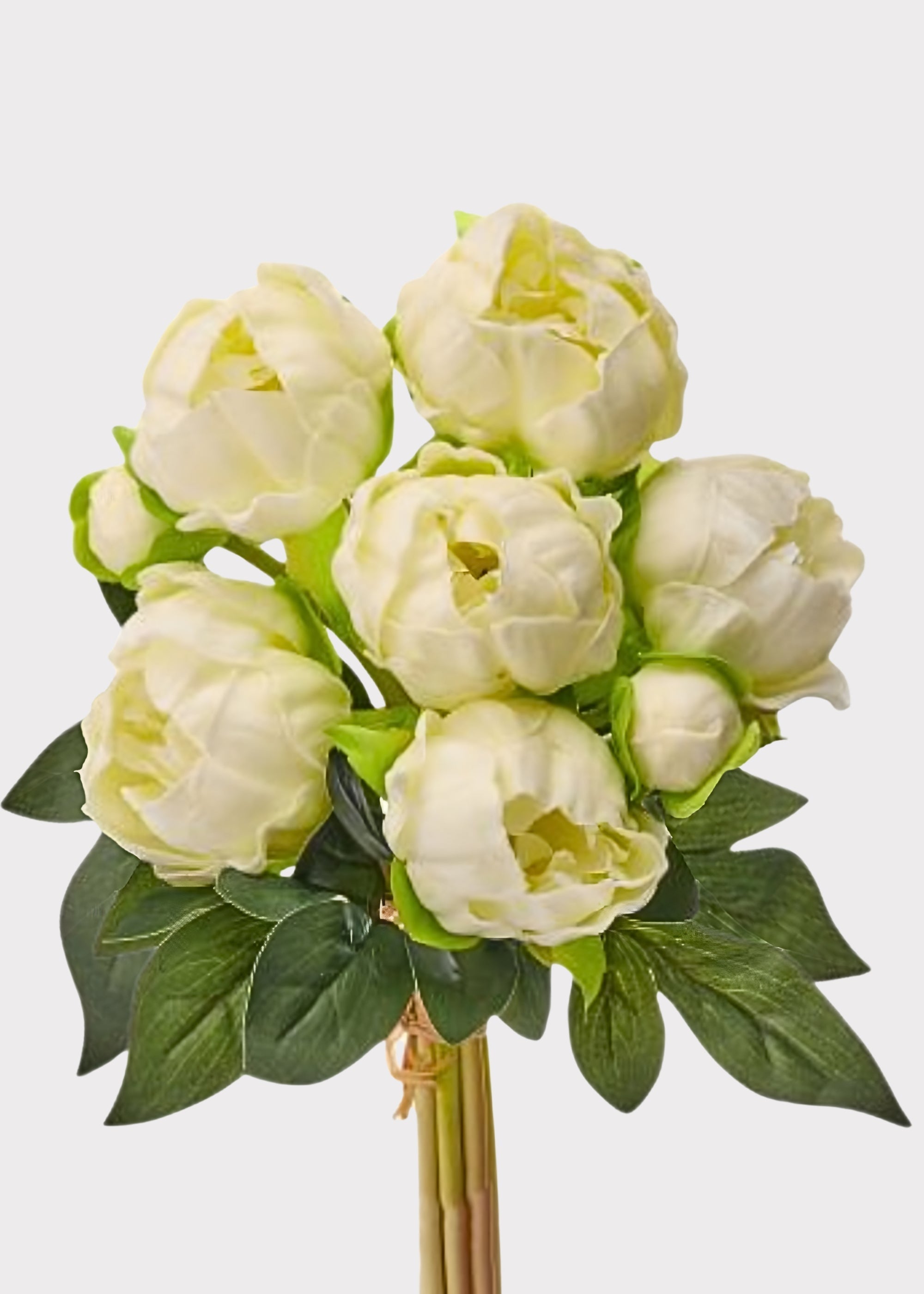 Cream Peony Real Touch Flower Bundle of 8 - 11"