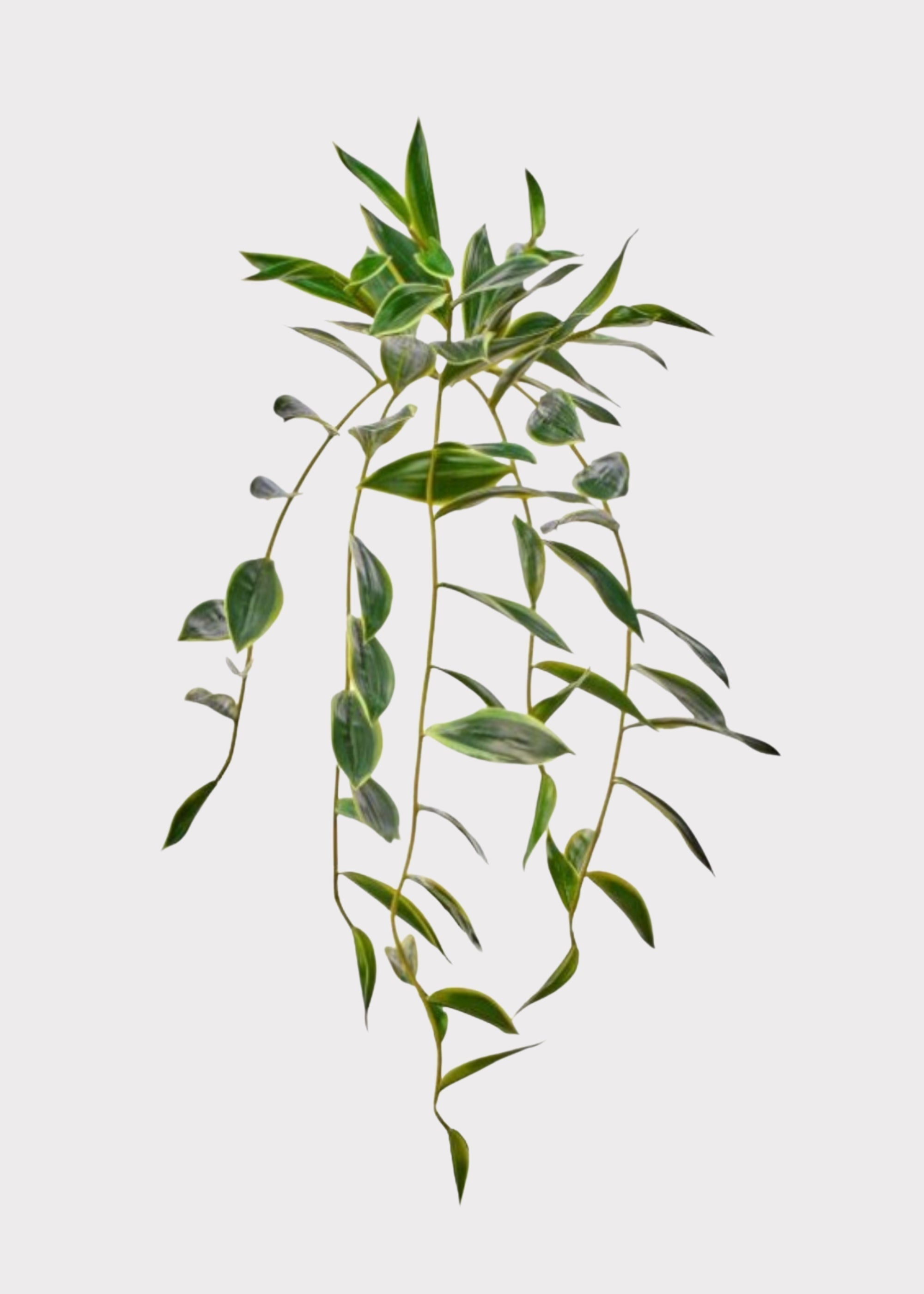 UV Treated Indoor/Outdoor Natural Touch Hanging Bamboo Plant - 31"