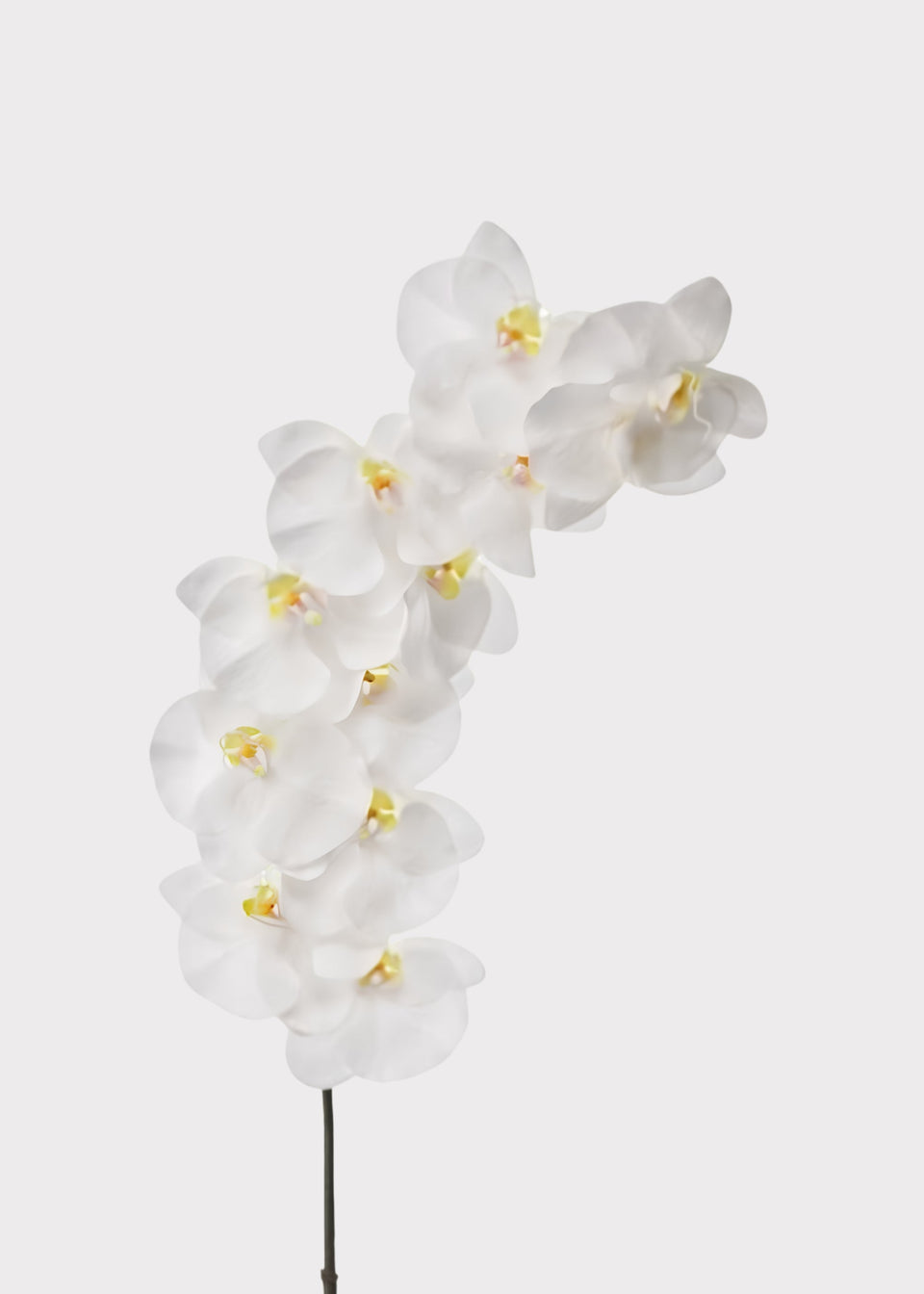 UV Treated Indoor/Outdoor Real Touch Orchid Flower in White - 43"