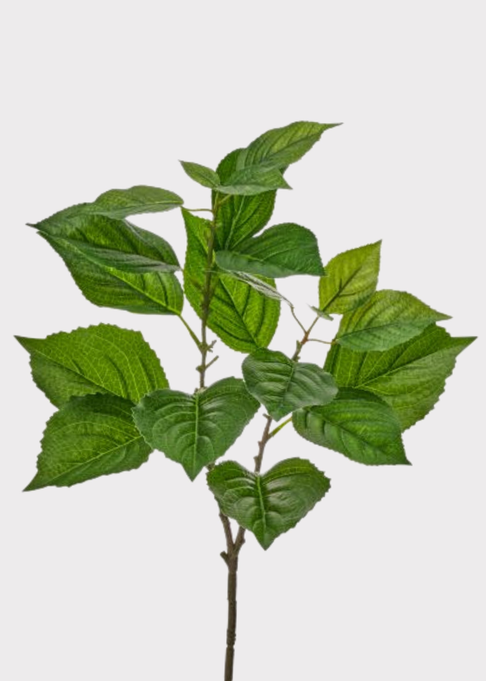 Green Fake Real Touch Hydrangea Leaf Spray - 26"