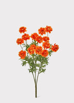 Orange Fake Ruffle Cosmos Flower Bush - 20"