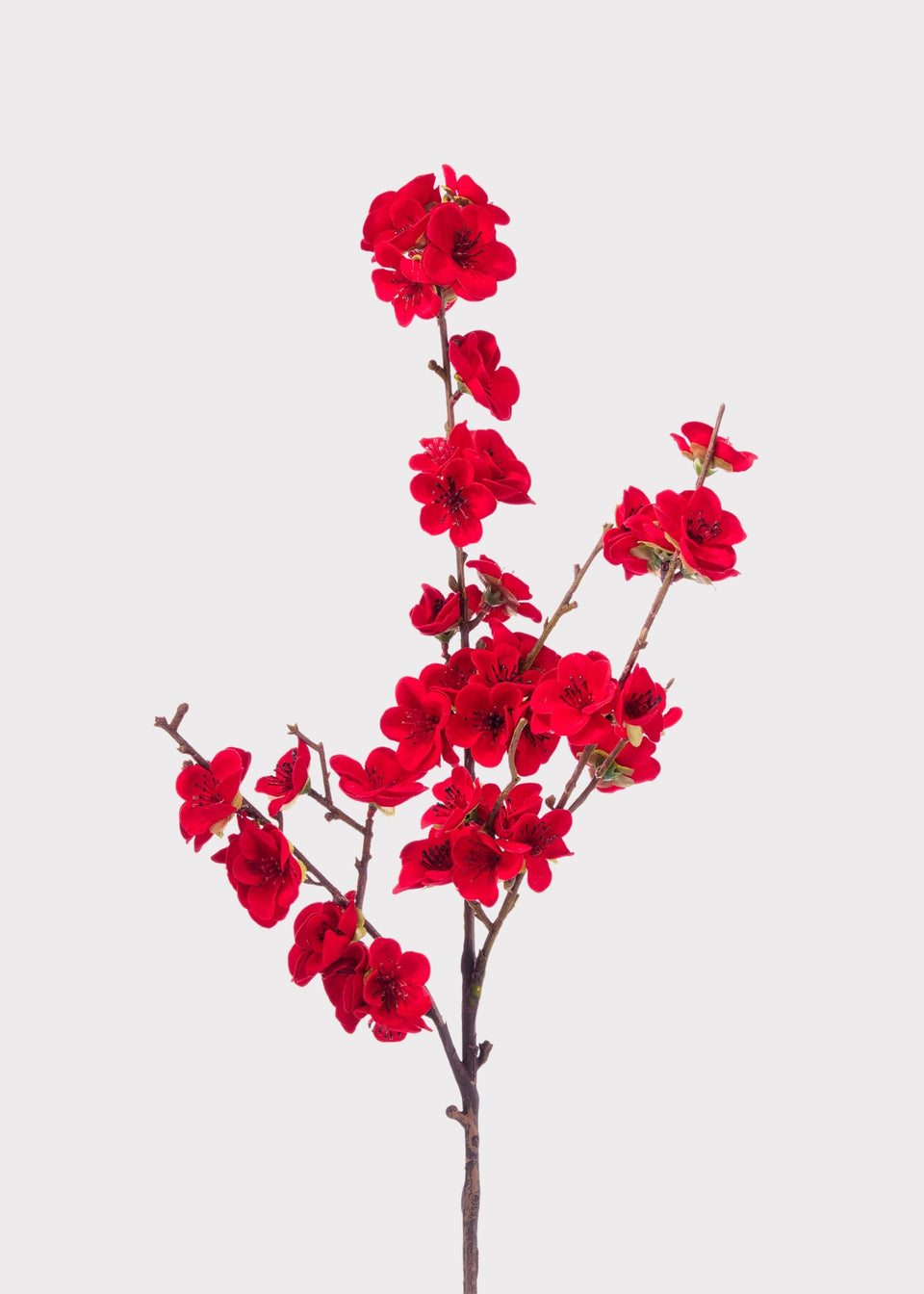 Holiday Red UV Treated Indoor/Outdoor Velvet Cherry Blossom - 18"