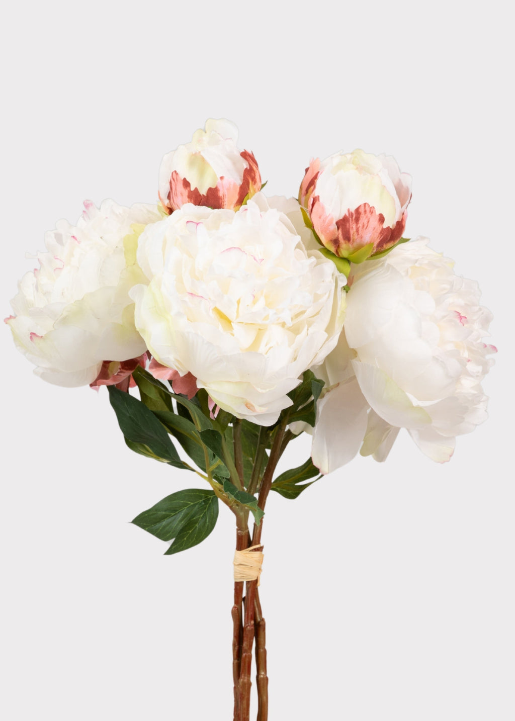 Cream Peony Faux Flower Bundle of Peonies - 21"