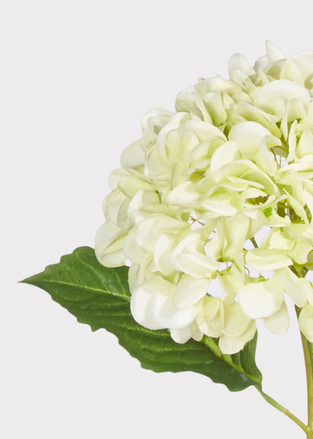 Real Touch Hydrangea Fake Flower in Light Green - 20.5"