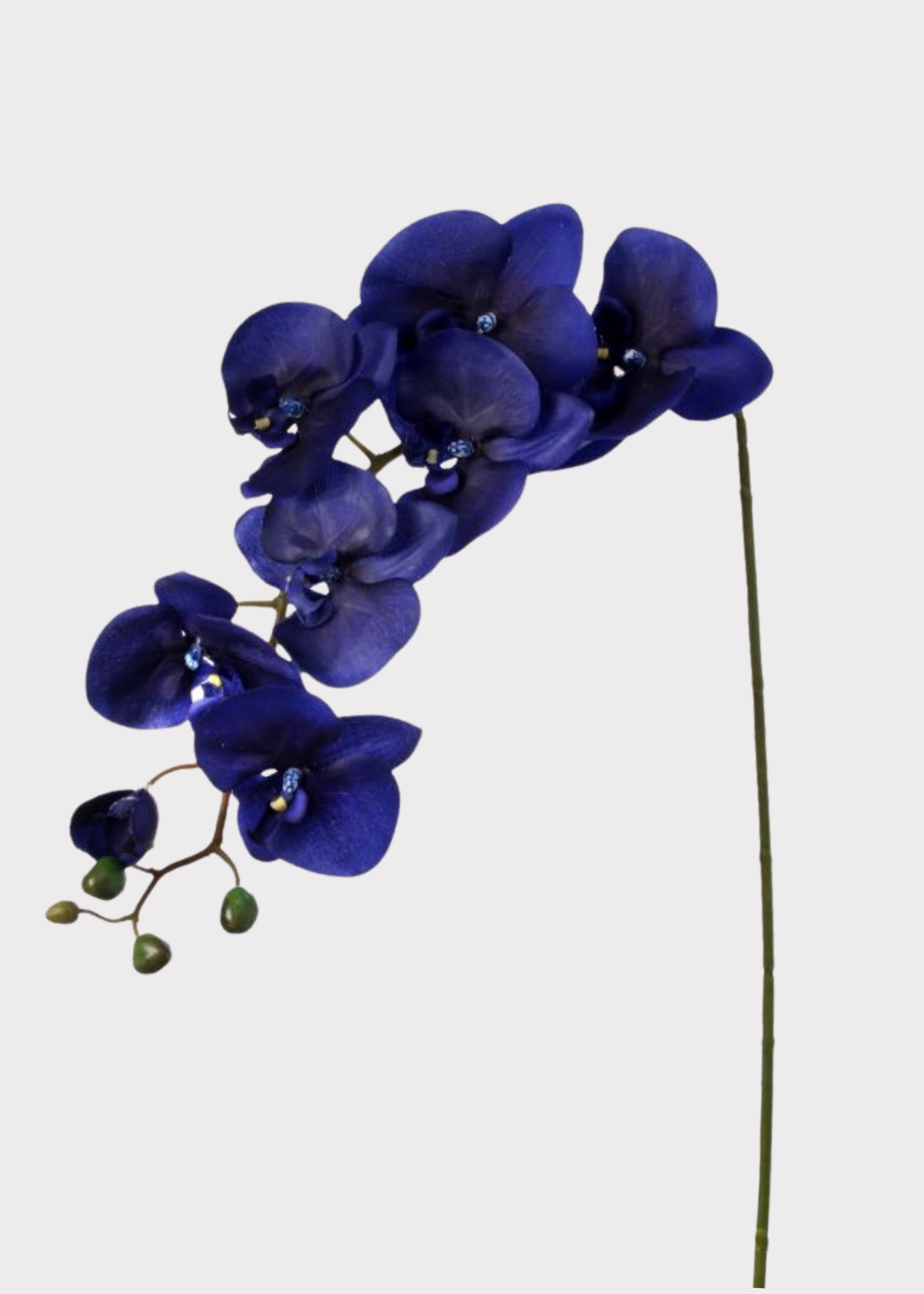Indigo Blue Fake Phalaenopsis Orchid - 38"