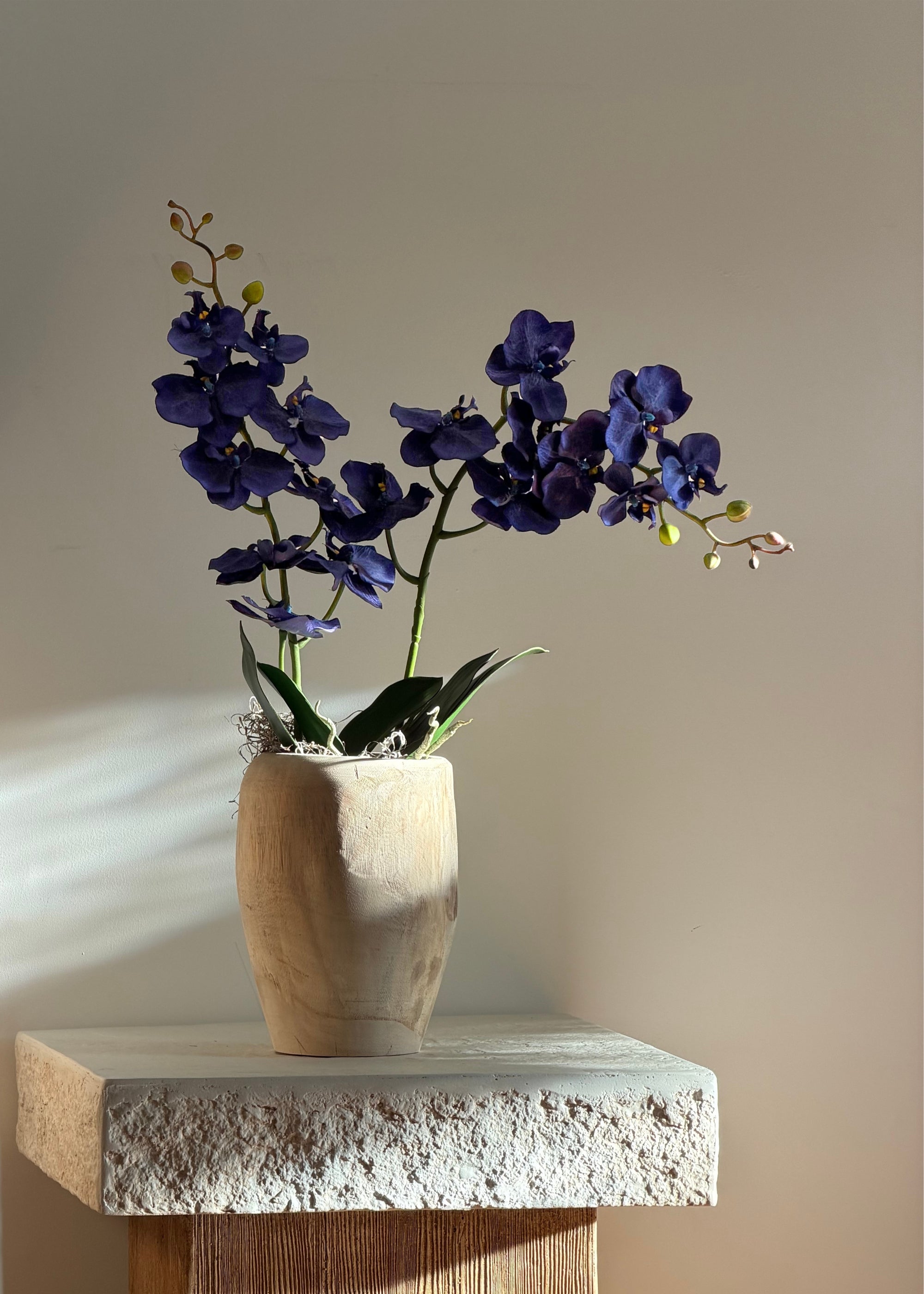 Indigo Blue Fake Phalaenopsis Orchid - 38"