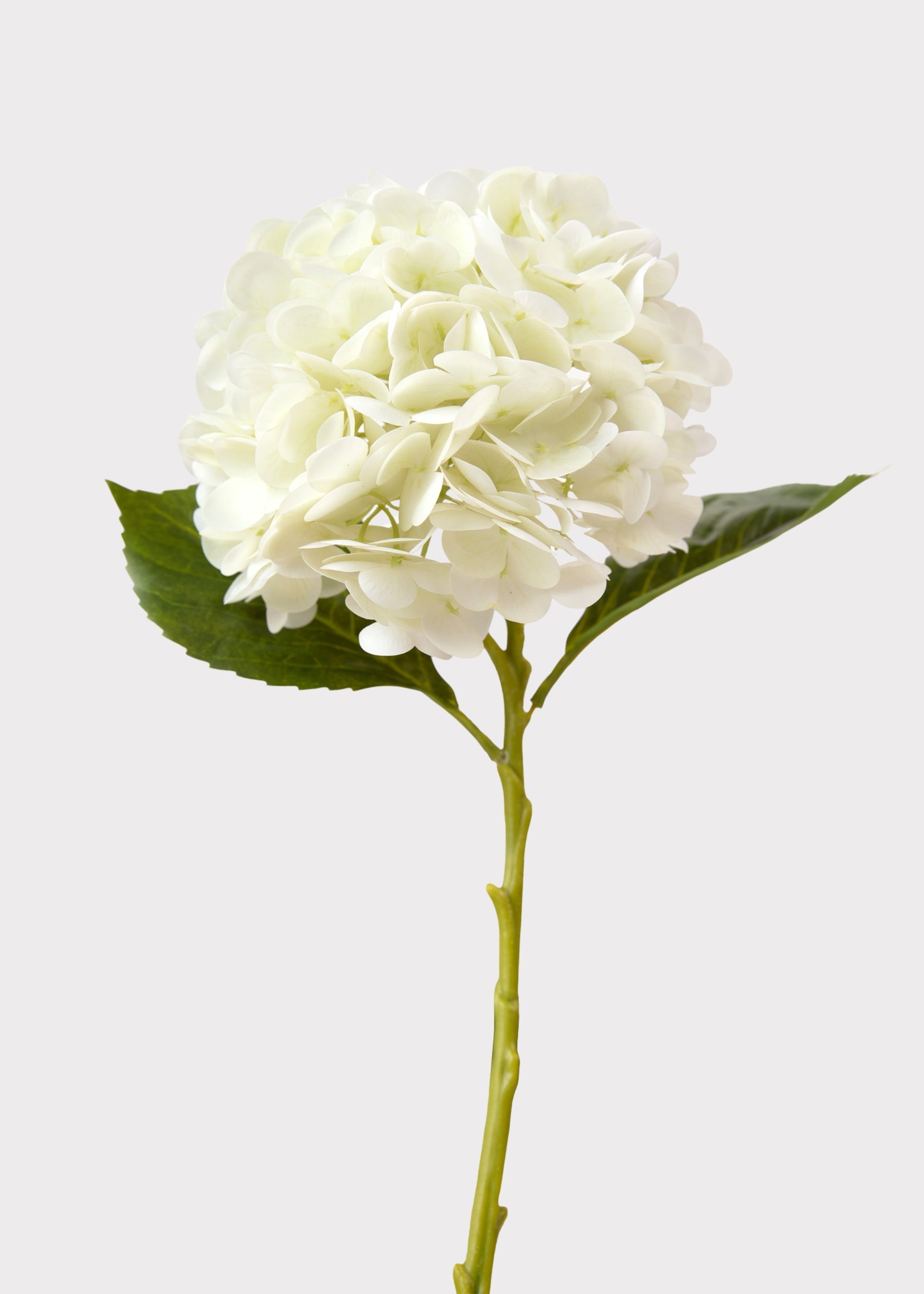Cream White Hydrangea Real Touch Fake Flower - 18.5"