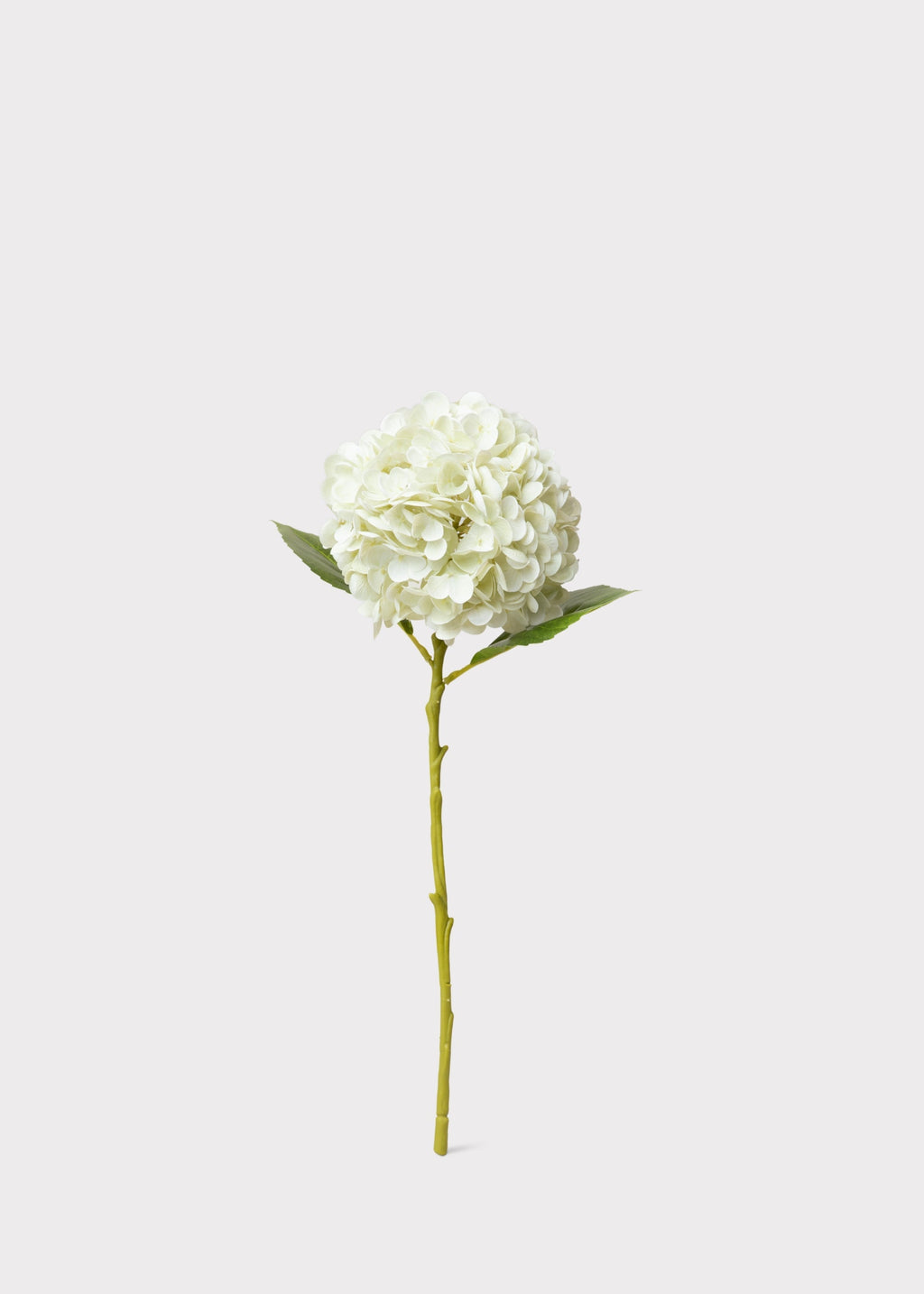 Cream White Hydrangea Real Touch Fake Flower - 18.5"