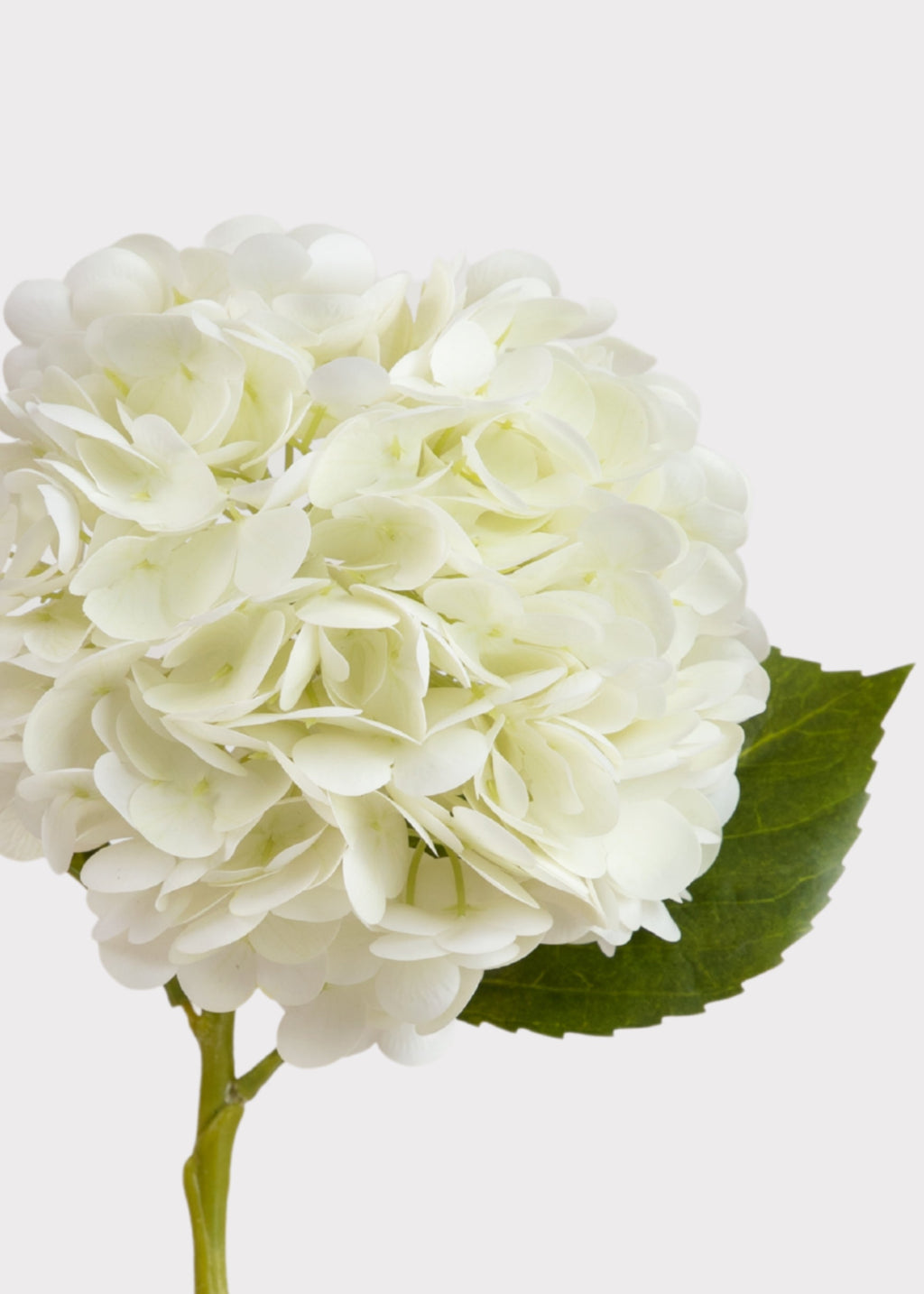 Cream White Hydrangea Real Touch Fake Flower - 18.5"